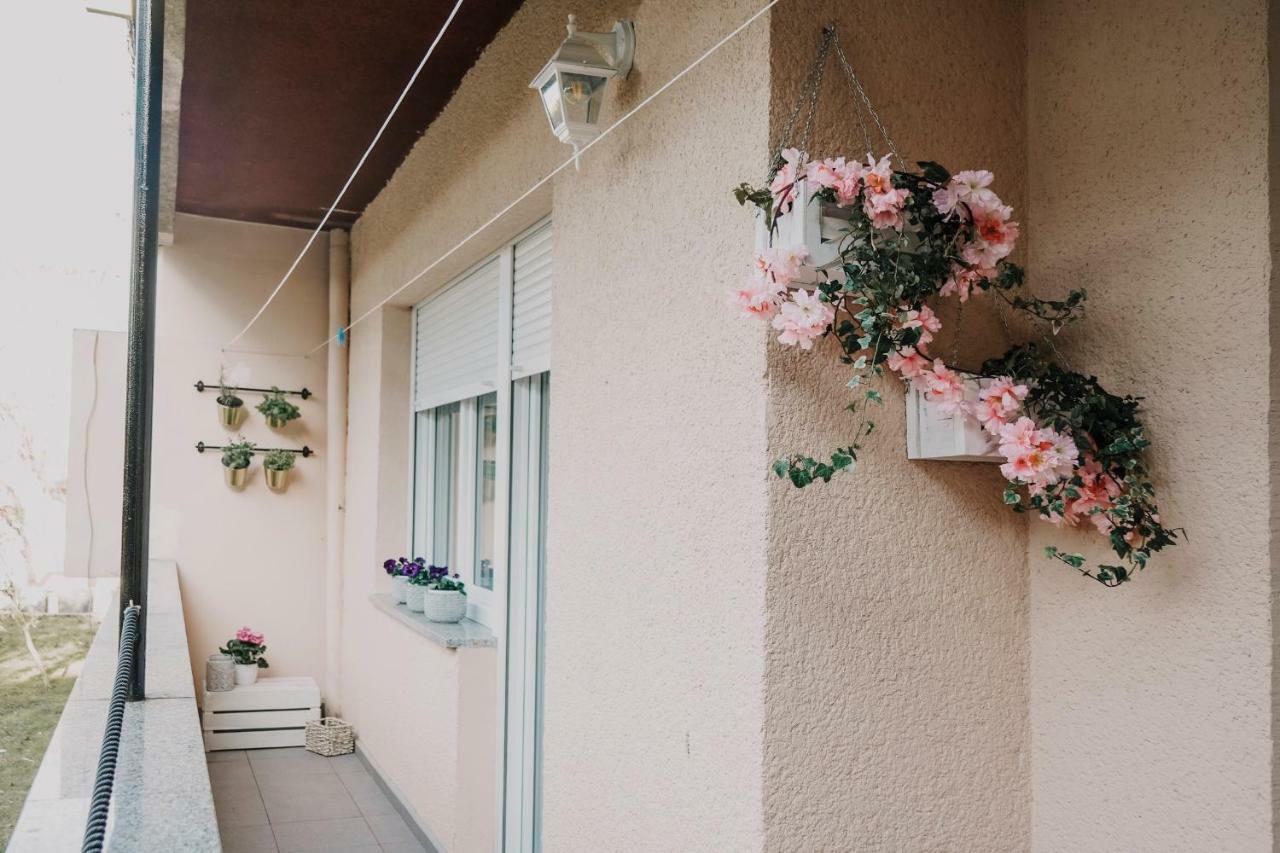 Apartman Bacchus Pola Esterno foto
